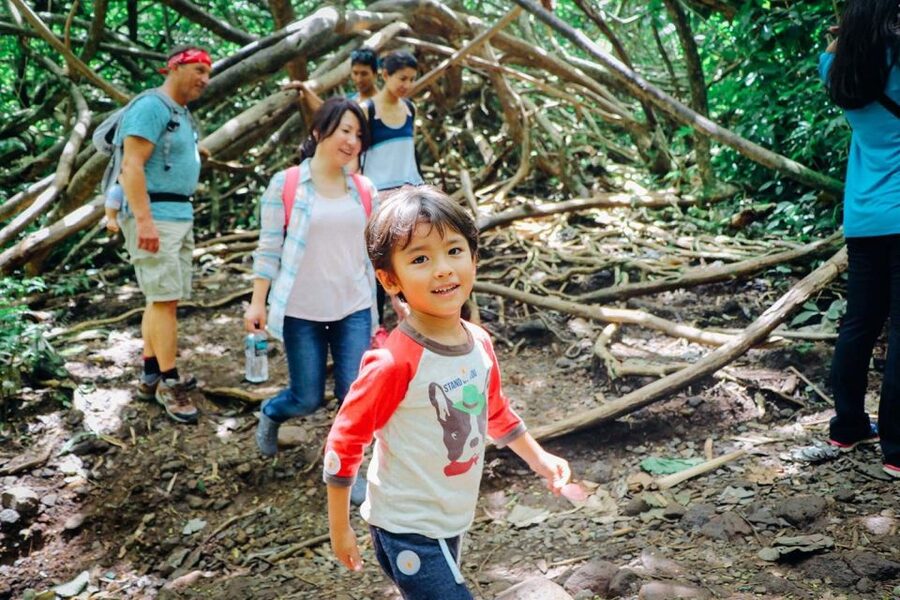 Oahu: Manoa Falls Waterfall Hike with Lunch and Transfers - Reaching Manoa Falls: The 150-Foot Payoff