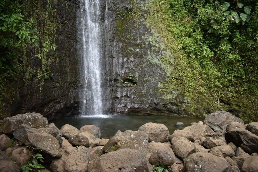 Oahu: Manoa Falls Waterfall Hike with Lunch and Transfers - What to Bring (So You Don’t Think About Your Shoes)