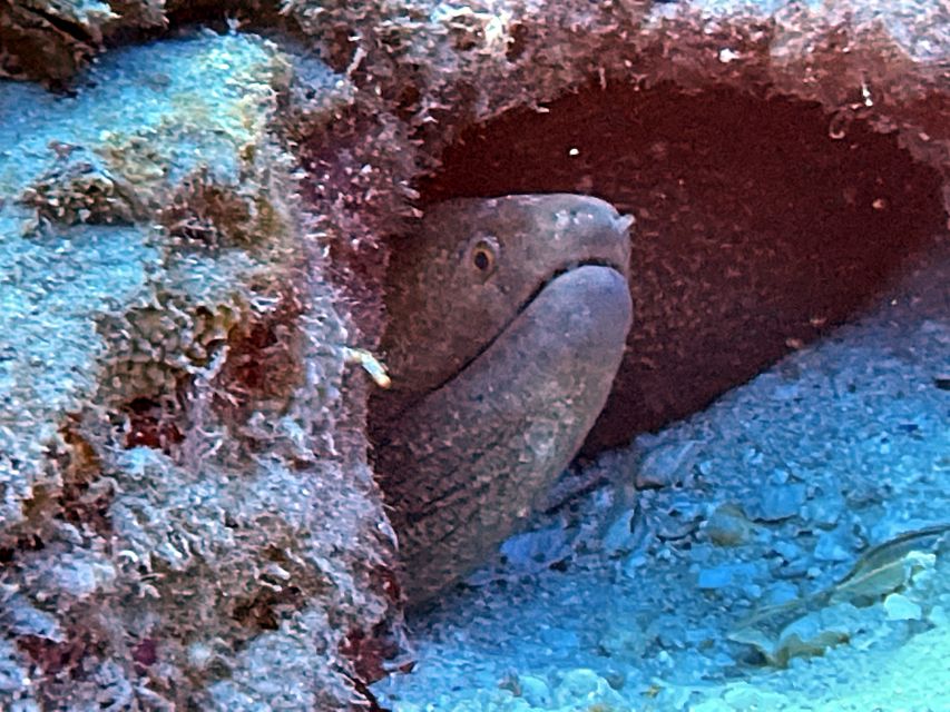 Oahu Night Dive: Adventure for Certified Divers - What to bring so your night goes smoothly