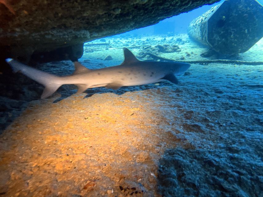 Oahu Night Dive: Adventure for Certified Divers - Charter comfort and pacing: small details that keep the trip smooth