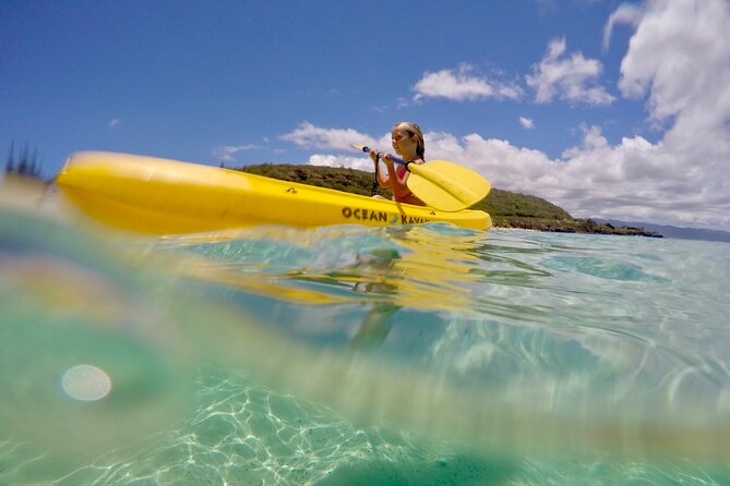 Oahu North Shore Experience: Activities, Waterfall & Free Time - Price and value: what $167.53 includes