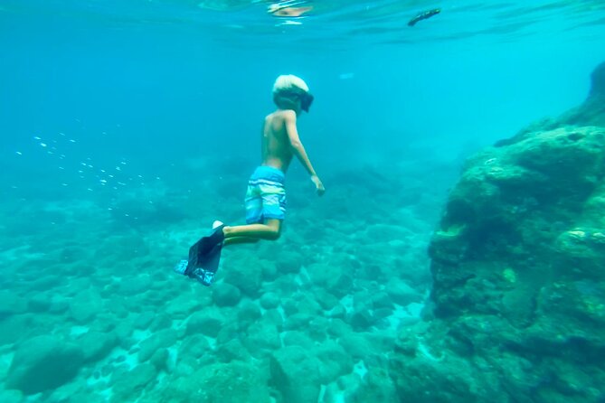 Oahu North Shore Experience: Activities, Waterfall & Free Time - Windward side scenery and the quick Tropical Farms stop