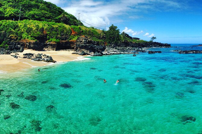 Oahu North Shore Experience: Activities, Waterfall & Free Time - Stop 2: your 2-hour North Shore choice time at Waimea Bay and Waimea Valley