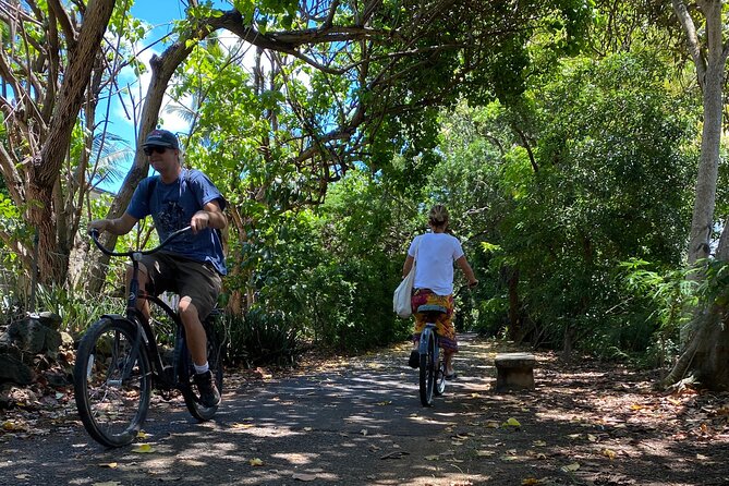Oahu North Shore Experience: Activities, Waterfall & Free Time - Pipeline and Sunset Beach: season changes what you should expect