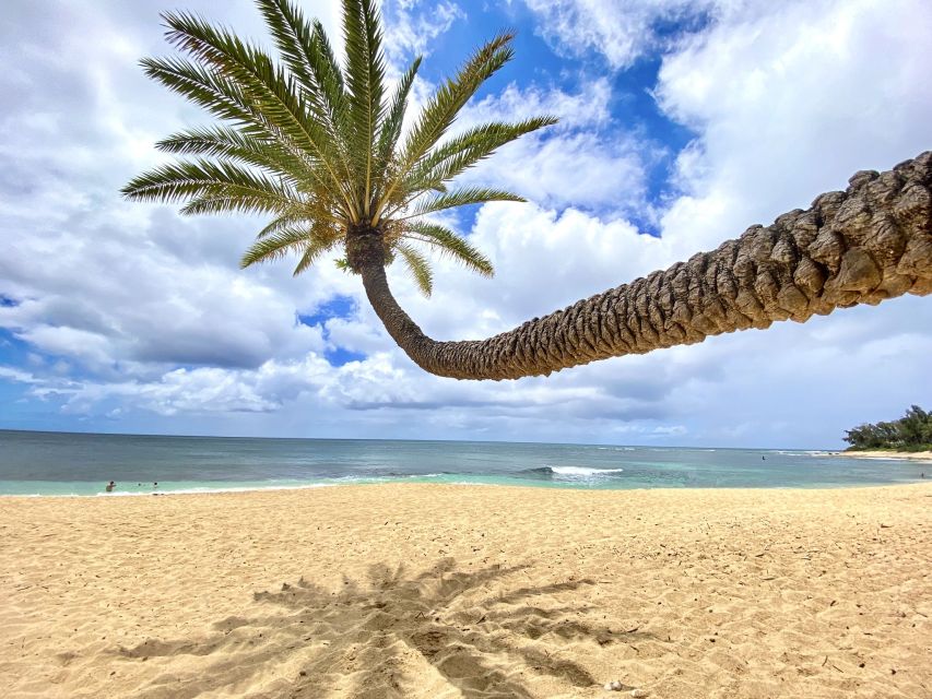 Oahu: North Shore Experience and Dole Plantation - Quick hits you’ll actually care about
