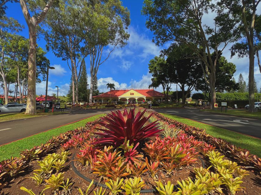 Oahu: North Shore Experience and Dole Plantation - Kahuku Sugar Mill and the food trucks you’ll want to plan for