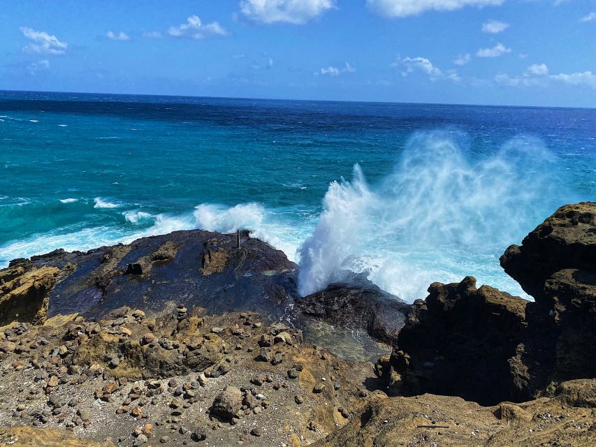 Oahu: North Shore Experience and Dole Plantation - Sunset Beach and Haleiwa Alii Beach, plus the winter surf reality check