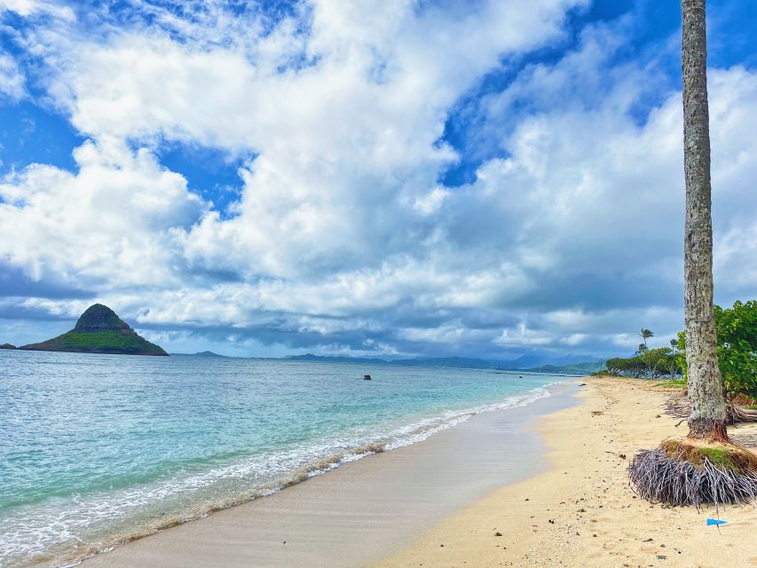 Oahu: North Shore Experience and Dole Plantation - Van comfort, timing, and what small-group really means
