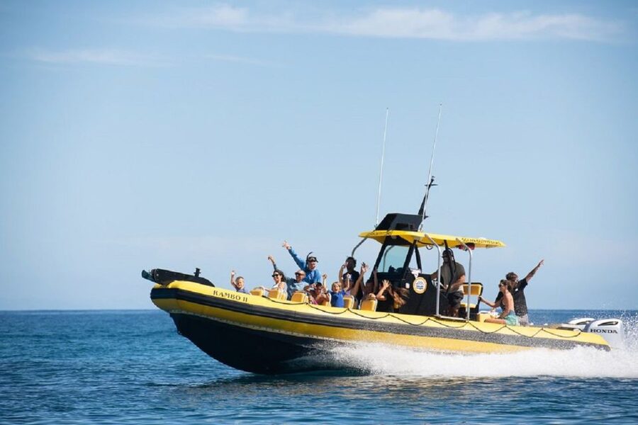 Oahu: North Shore Haleʻiwa: Private Boat Charter - Key Points at a Glance