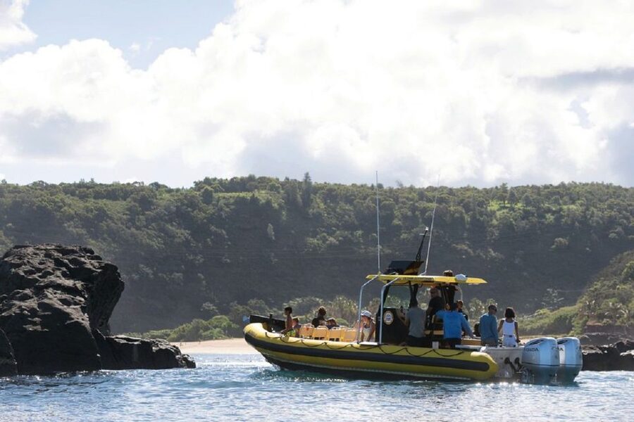 Oahu: North Shore Haleʻiwa: Private Boat Charter - What You Will See: Sea Turtles, Spinner Dolphins, Sharks, and More