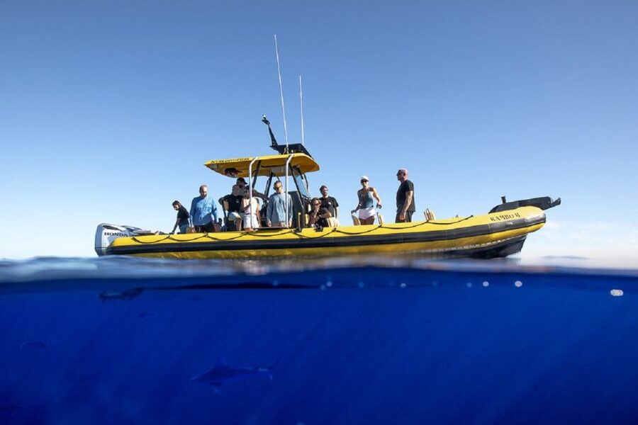 Oahu: North Shore Haleʻiwa: Private Boat Charter - Cruise, Sunset, and Wildlife Watching in 1.5 Hours