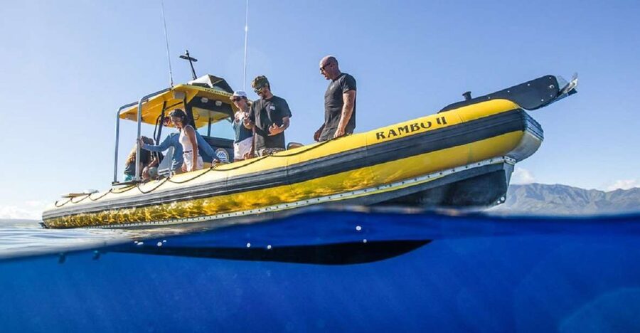 Oahu: North Shore Haleʻiwa: Private Boat Charter - Should You Book? The Practical Decision