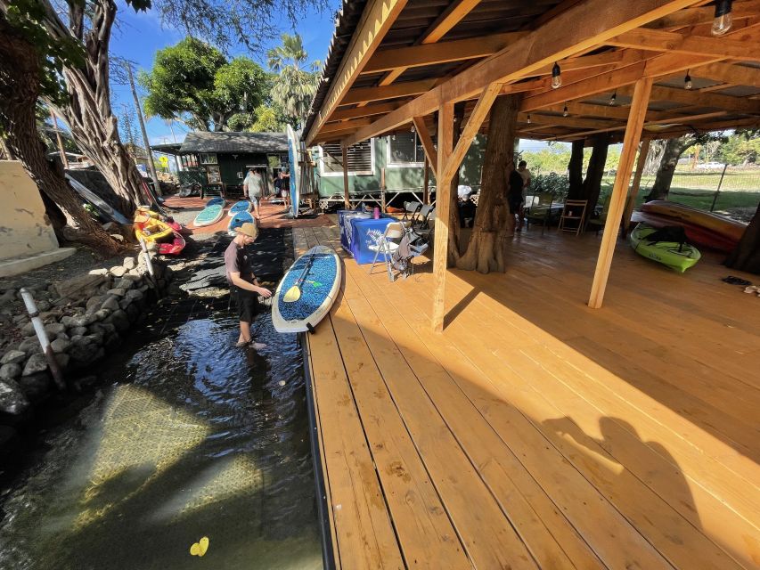 Oahu: North Shore Haleiwa Paddleboard River Adventure - Mangroves, freshwater springs, and your honu spotting plan