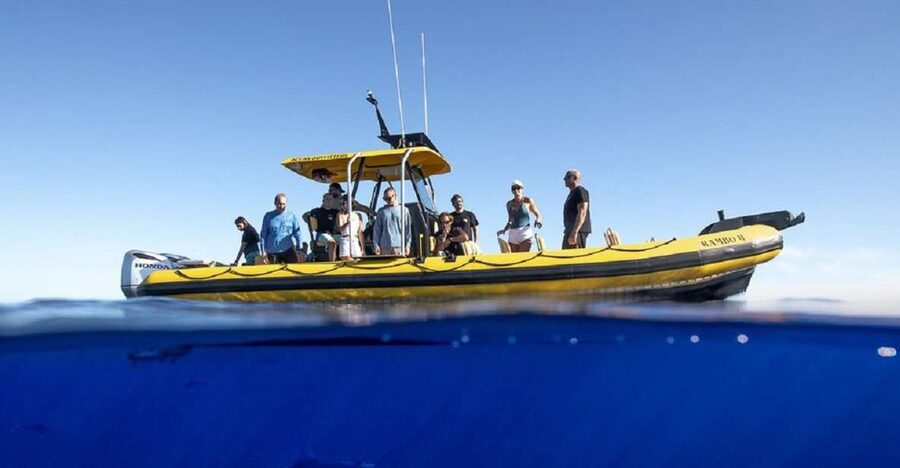 Oahu: North Shore Marine Life Tour from Haleiwa - From Haleiwa Harbor to the North Shore in 90 minutes