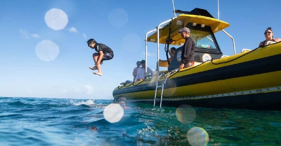 Oahu: North Shore Snorkeling Tour from Haleiwa - Should you book Ocean Outfitters Hawaii North Shore snorkeling?