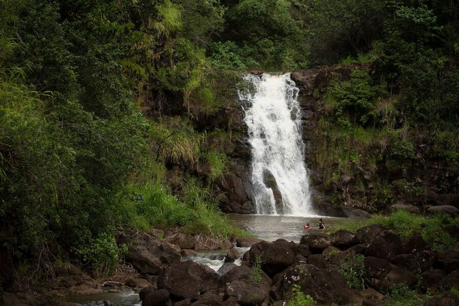 Oahu: North Shore Waterfall Swim - The 30-foot waterfall swim, rules and how to make it enjoyable