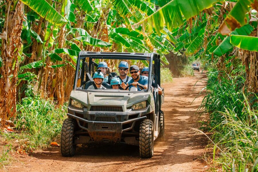 Oahu: North Shore Zip Line Adventure with ATV and Farm Tour - Should You Book This Oahu North Shore ATV and Zip Line Tour?