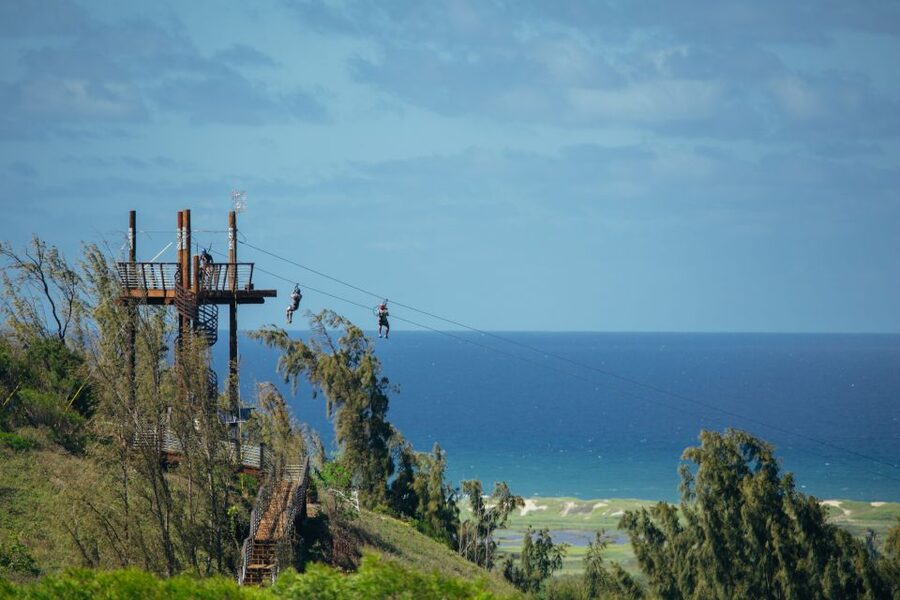 Oahu: North Shore Zip Line Adventure with ATV and Farm Tour - Keana Farms: Learn While You Look at Papaya, Taro, and Tomatoes
