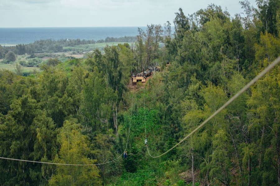 Oahu: North Shore Zip Line Adventure with ATV and Farm Tour - Guides Who Keep It Fun, Safe, and Moving