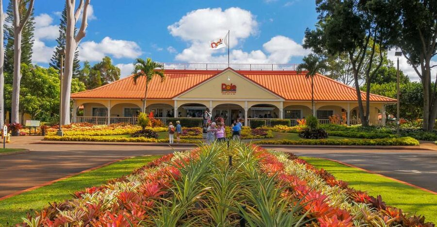 Oahu: Oahu Ultimate Grand Circle Island Tour - Key highlights to care about before you book