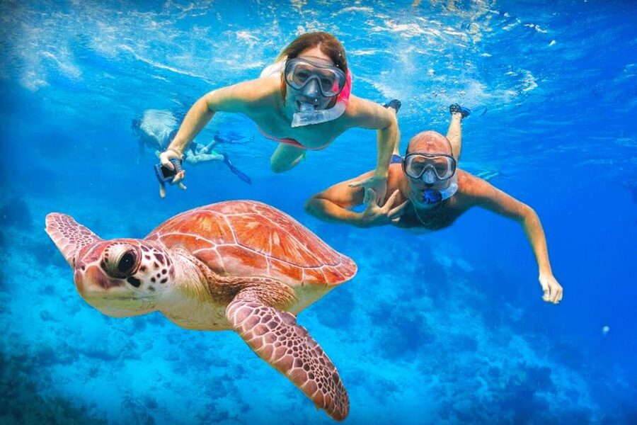 Oahu: Oahu Ultimate Grand Circle Island Tour - Kahala Scenic Route to Makapu’u Point: Where Movies Meet Real Coastline