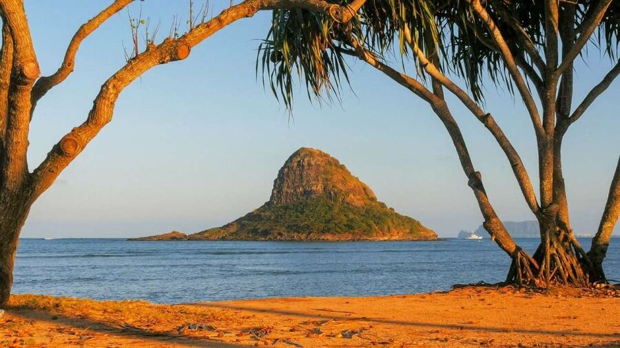 Oahu: Oahu Ultimate Grand Circle Island Tour - What $84 Really Buys You (and What It Does Not)