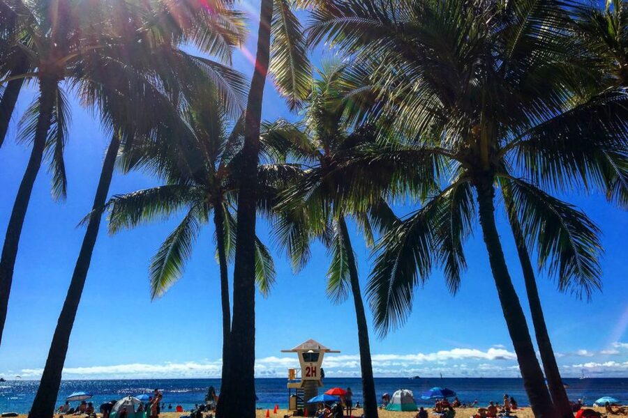 Oahu: Pearl Harbor and Honolulu City Tour - Pearl Harbor Visitor Center: the education you want before the memorial
