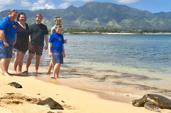 Oahu Personalized Private North Shore Highlight Custom Tour - Season and Weather: How to Get the Most From Your North Shore Day