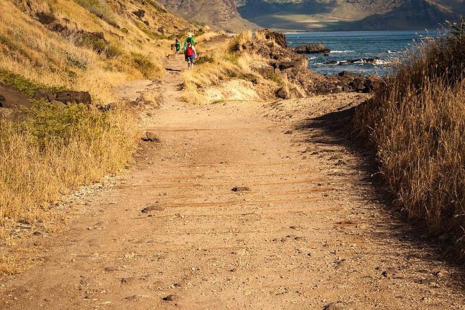 Oahu Personalized Private Tour - North Shore: shrimp trucks, top surf beaches, Waimea waterfall, and gardens