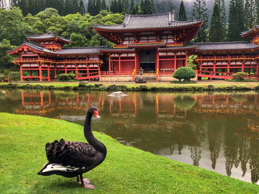 Oahu: Private Best of Oahu Sightseeing Tour - What your guide does for the experience (June, Jenny, and Andy)