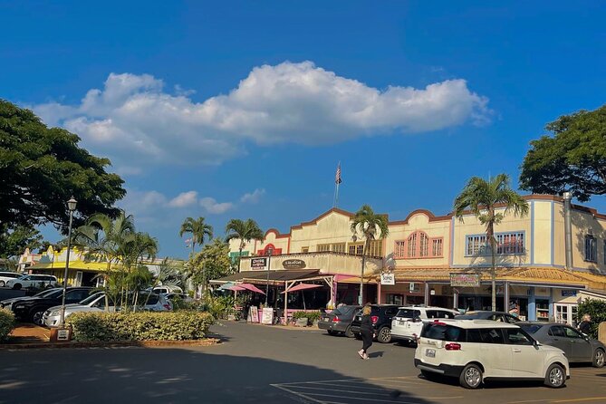 Oahu Private Tour North Shore, Waimea Falls and Dole Plantation - A North Shore day that feels organized, not rushed