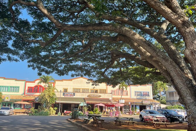 Oahu Private Tour North Shore, Waimea Falls and Dole Plantation - The vehicle, the timing, and why private matters