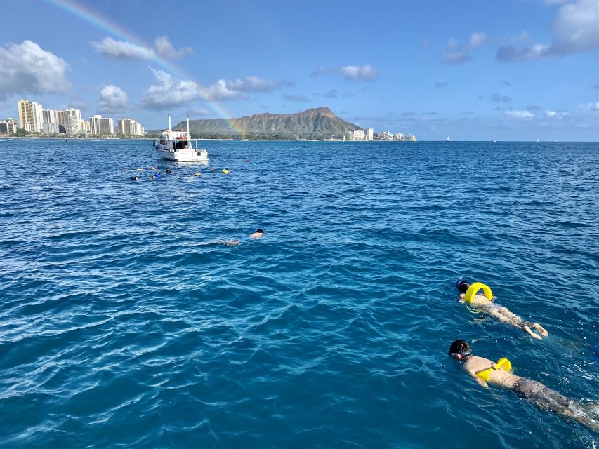 Oahu: Private Turtle Snorkeling with Customizable Itinerary - Turtle Canyon snorkeling: what to expect in the water