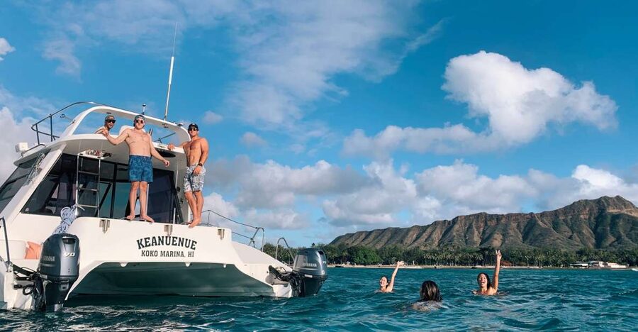 Oahu: Private Turtle Snorkeling with Customizable Itinerary - Wildlife spotting odds: dolphins, monk seals, and whales