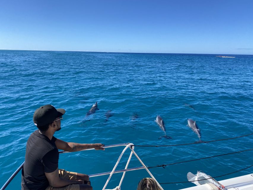 Oahu: Private Turtle Snorkeling with Customizable Itinerary - Comfort details that matter at sea: shade, lounge space, and Bluetooth