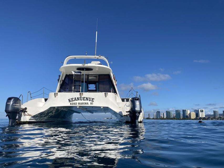 Oahu: Private Turtle Snorkeling with Customizable Itinerary - Your crew’s role: customizing the charter to your group