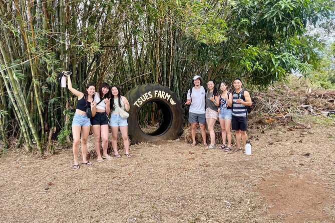 Oahu: Roundtrip Shuttle From Waikiki to Dole Plantation & Haleiwa - North Shore Macadamia Nut Company: short stop, free samples, and a reality check