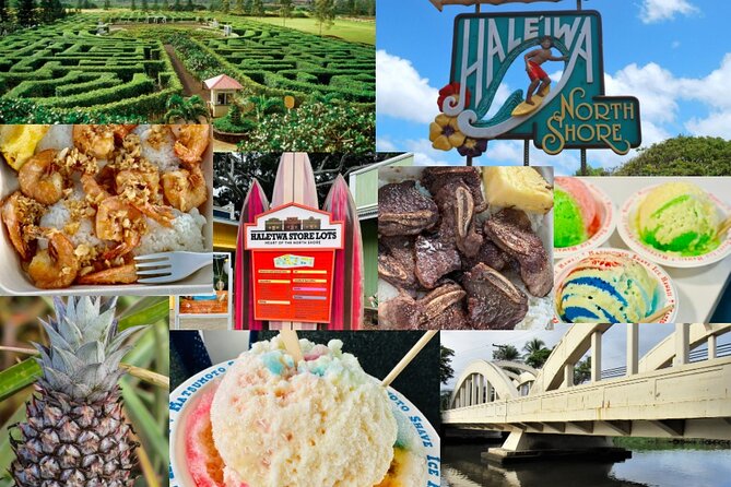 Oahu: Roundtrip Shuttle From Waikiki to Dole Plantation & Haleiwa - Who should book this, and who should skip it
