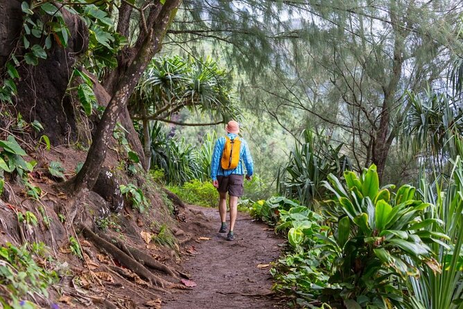 Oahu's North Shore Self-Guided Audio Tour - Key highlights to expect on the North Shore route