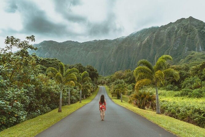 Oahu's North Shore Self-Guided Audio Tour - Waimea Bay, Shark’s Cove, Banzai Pipeline, and Sunset Beach: waves with winter timing