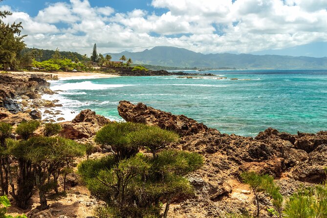 Oahu's North Shore Self-Guided Audio Tour - Ted’s Bakery to Kawela Bay: pies, shrimp, and a calmer beach option