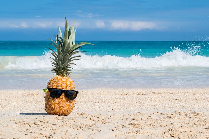 Oahu's Ultimate Grand Circle Island Tour with Snorkeling and More - Morning pickup that actually matters