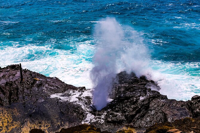 Oahu's Ultimate Grand Circle Island Tour with Snorkeling and More - Kahuku Farms and the North Shore vibe check