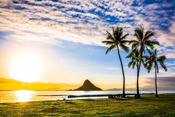 Oahu's Ultimate Grand Circle Island Tour with Snorkeling and More - Macadamia Nut Company: the best “included” food time