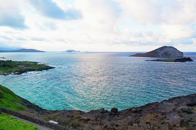 Oahu's Ultimate Tour: Dole, Turtle Snorkel, Pali Lookout & More - How This Oahu Circle Island Day Earns Its Place on Your Itinerary