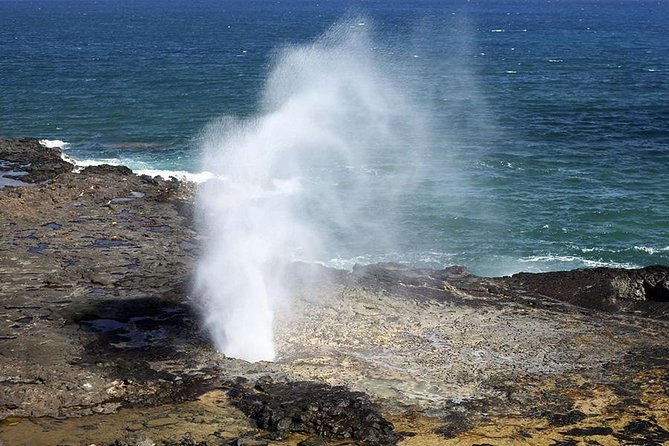 Oahu's Ultimate Tour: Dole, Turtle Snorkel, Pali Lookout & More - The Farm Stops: Macadamia Nuts, Kona Coffee, and North Shore Flavor