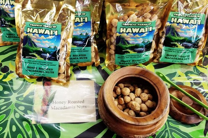 Oahu's Ultimate Tour: Dole, Turtle Snorkel, Pali Lookout & More - Mokoli’i Island and Haleiwa Area Photos, Then the Turtle Snorkel Moment