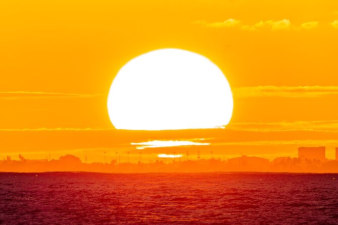 Oahu's Waikiki Coast: Moana’s Sunset Cocktail Sail - Wildlife and whale-watching odds: dolphins and humpbacks off Waikiki