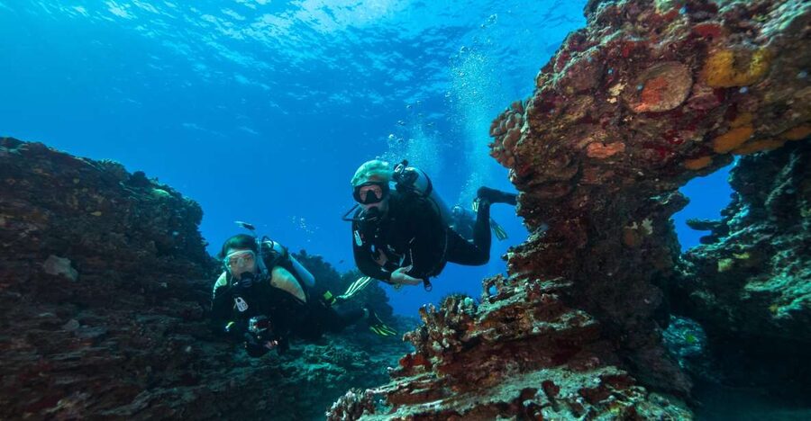 Oahu: Shallow Reef Scuba Dive for Certified Divers - Key highlights you will feel right away