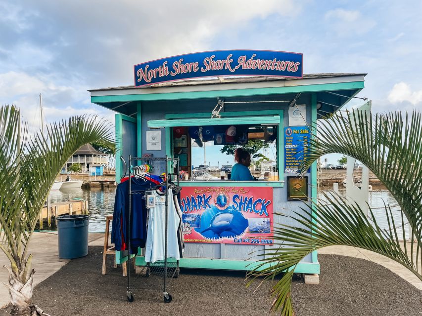 Oahu: Shark Cage Dive on the North Shore - Key highlights I’d plan around